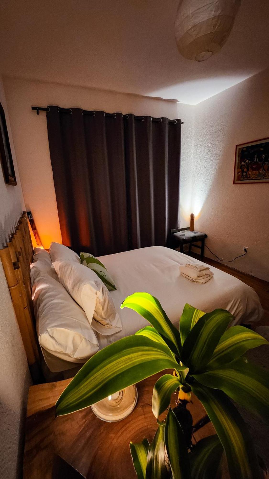 Mansion Bamboo Guest house Mexico City