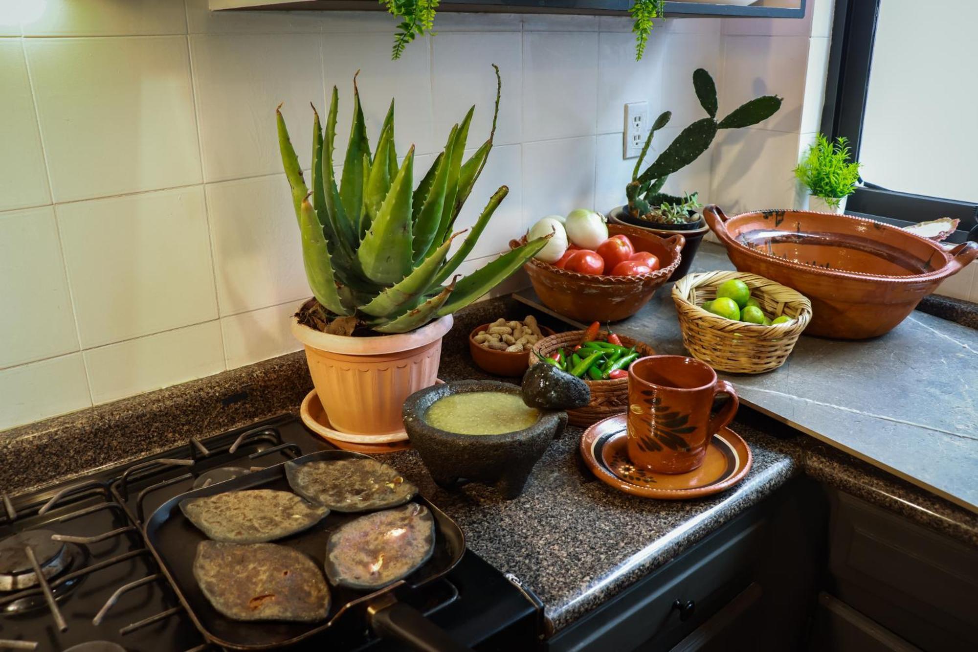 Guest house Mansion Bamboo Mexico City