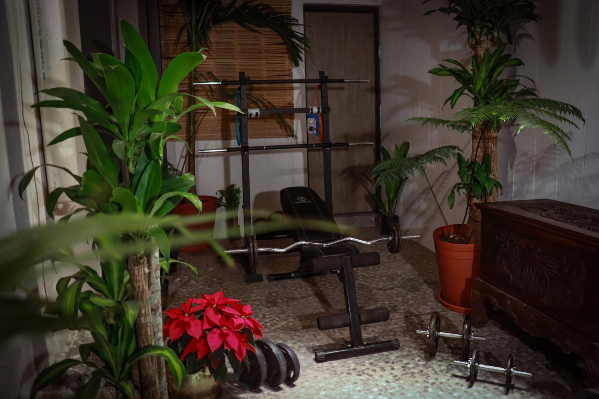 Mansion Bamboo Guest house