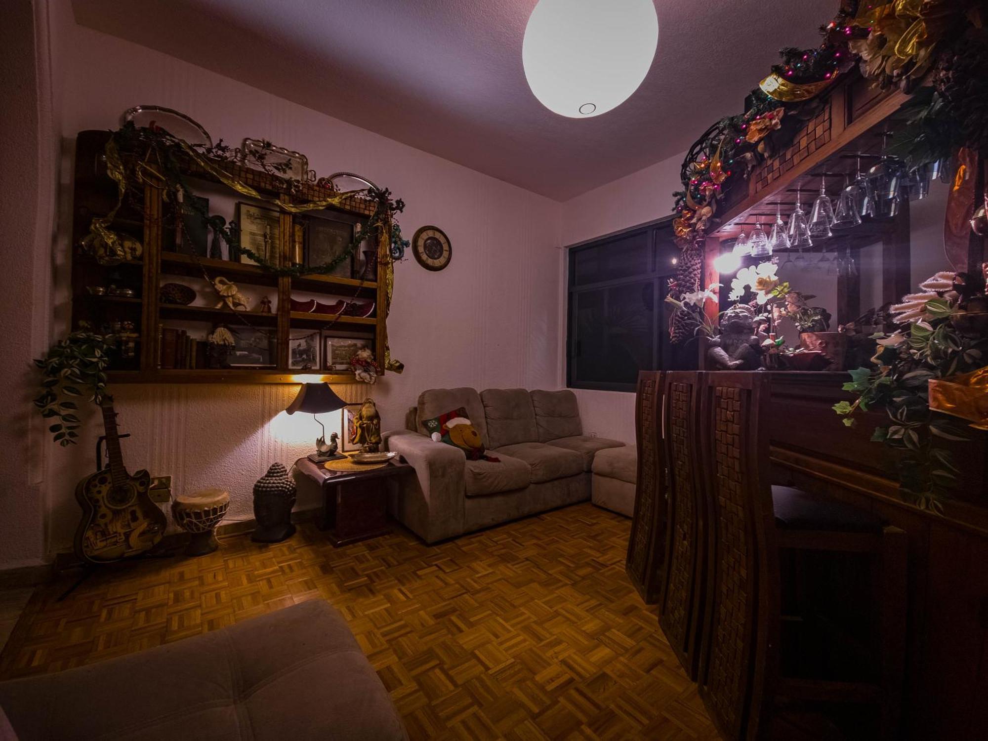 Mansion Bamboo Guest house Mexico City