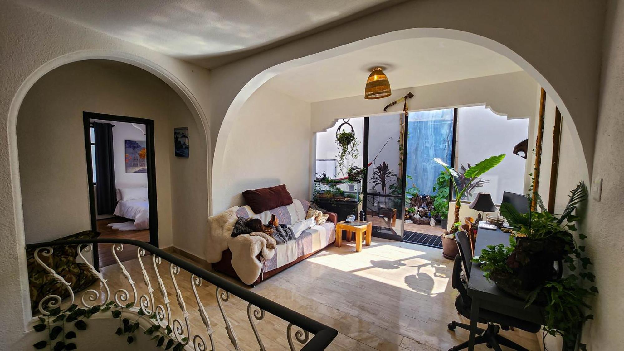 Mansion Bamboo Mexico City